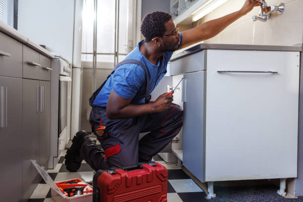 Best Same-Day Plumbing Service  in Warren, IL